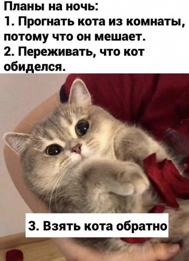 Сон в комплектацию не входит, ( спасибо за первые 100 лайков)