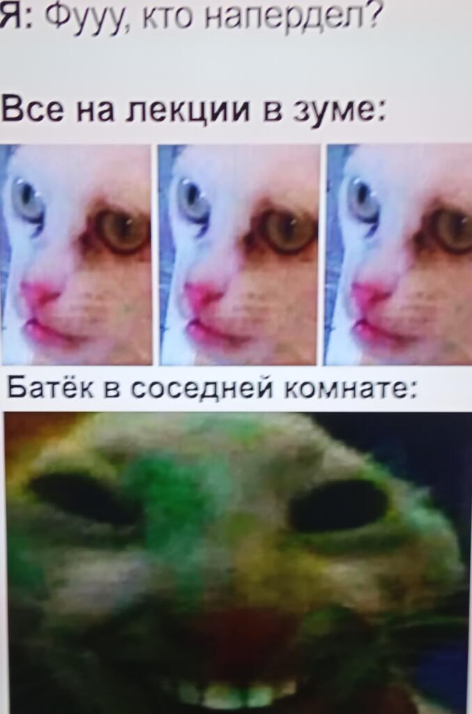 Фу, даже отсюда воняет