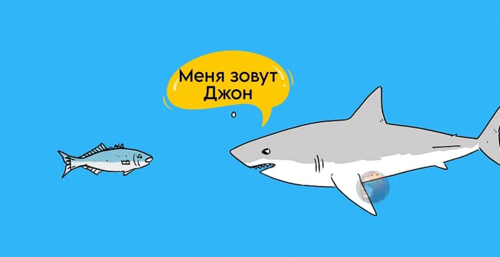 рил