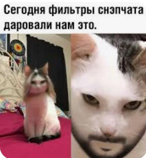 ахаххах