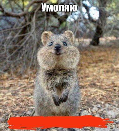 Умоляю, мемозгеры, научите меня ставить теги
А то мне вечно пишут, что я не умею