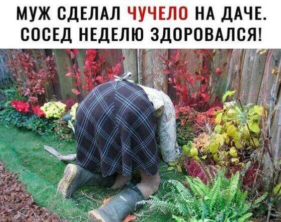 Мем от ГУП "НМТ"