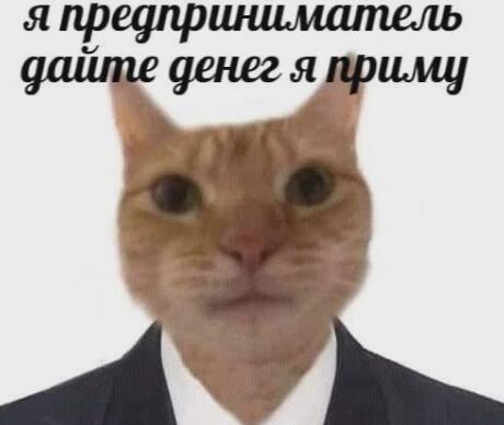 введите текст