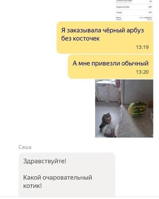 Мем без подписи