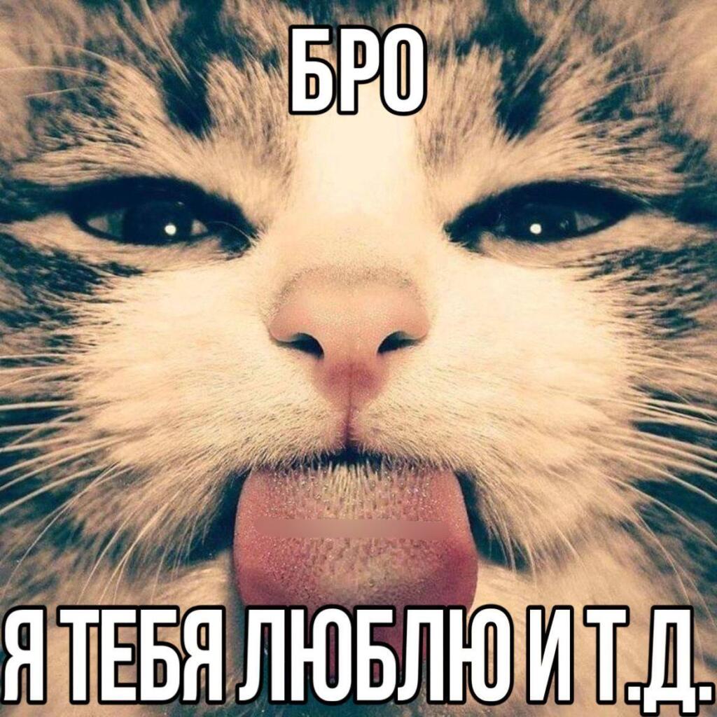 Скидывайте своим любими брошкам :>