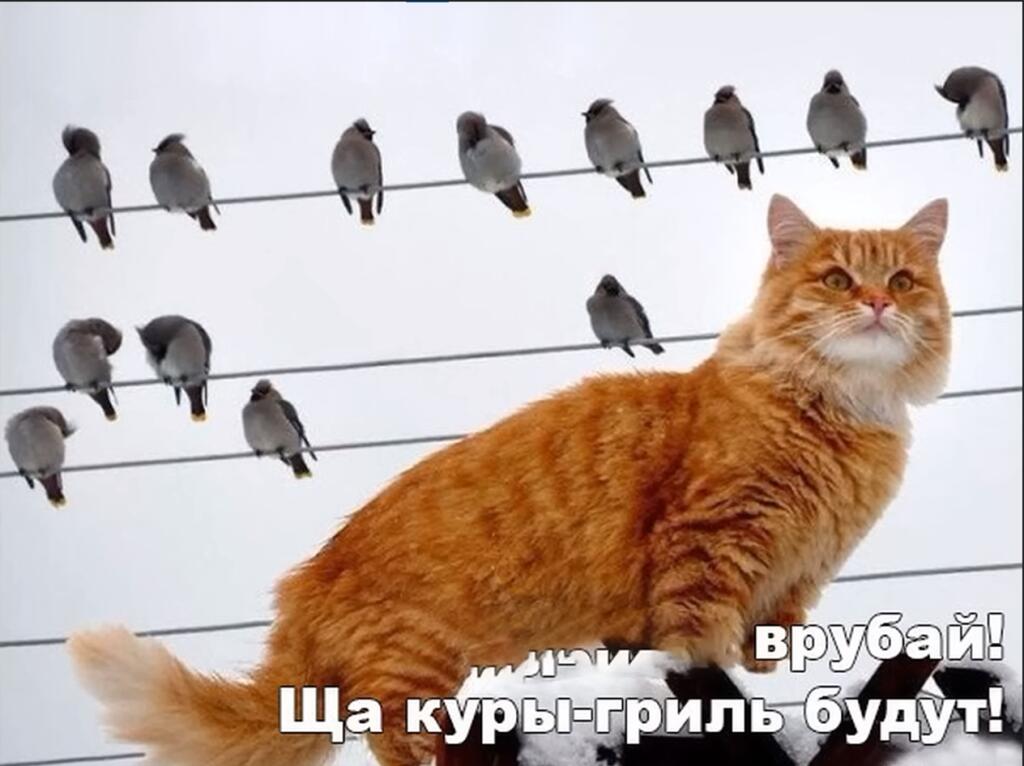 Мем от Босс_Вех_Крашеров