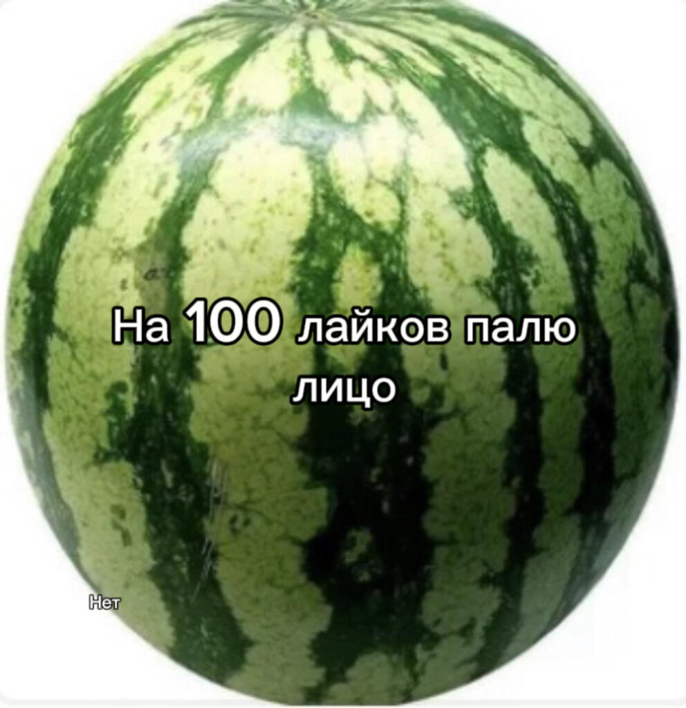 Палю