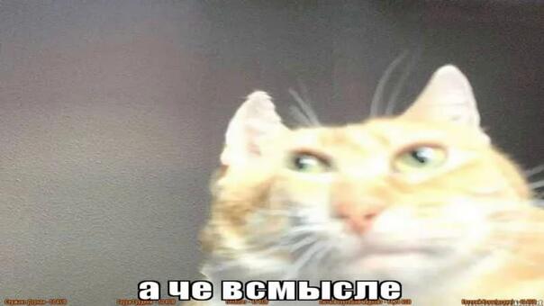 Я пишу в коде что-то наа русском.
Также Visual Studio:
