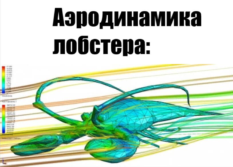 )))))