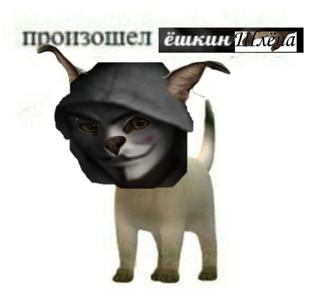 Произошёл троллинг+шлёпа + ёшкин кот =...