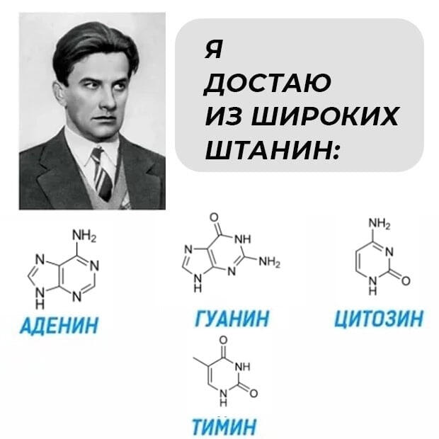 а можно мне такие же штаны чтоб из них эт всё достать?
(делаем ставки пройдёт ли пост или нет)