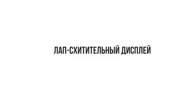 Приключения кота Буханки, часть 28