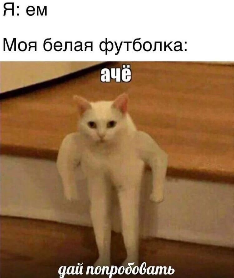 Жиза