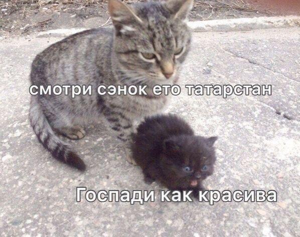 Мем от Кеканутый