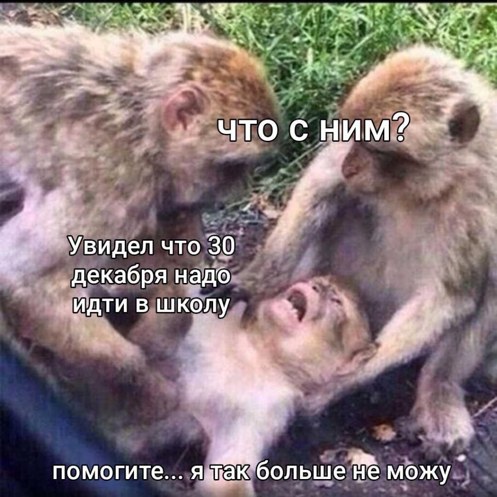 Мем от Bendy