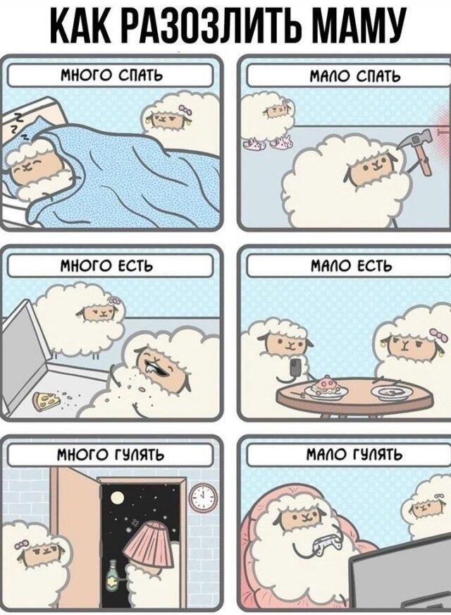 Мем без подписи