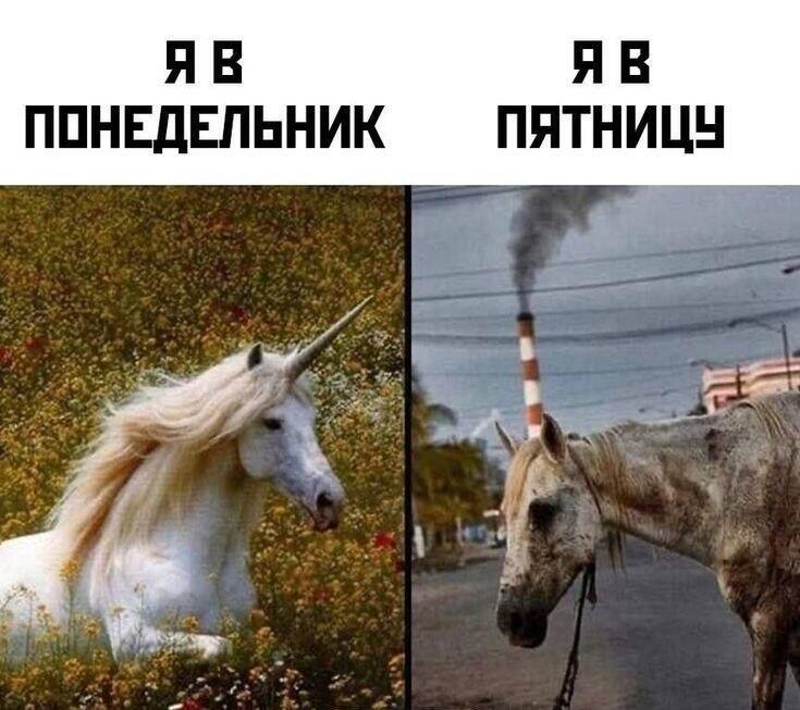 Наоборот!