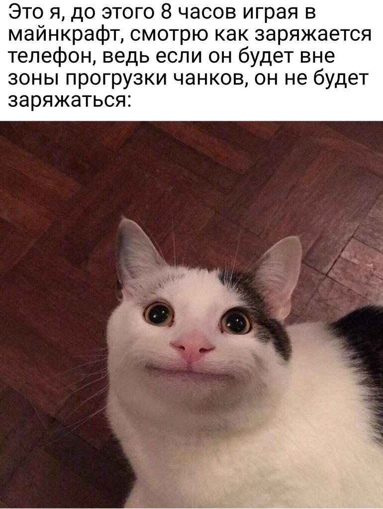 Мем от Drag0n116