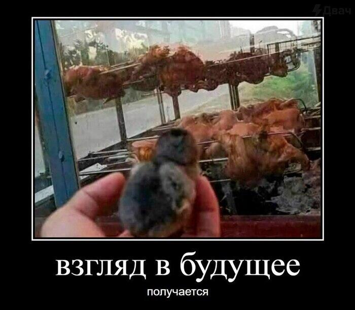 Мем от Принц чебурек