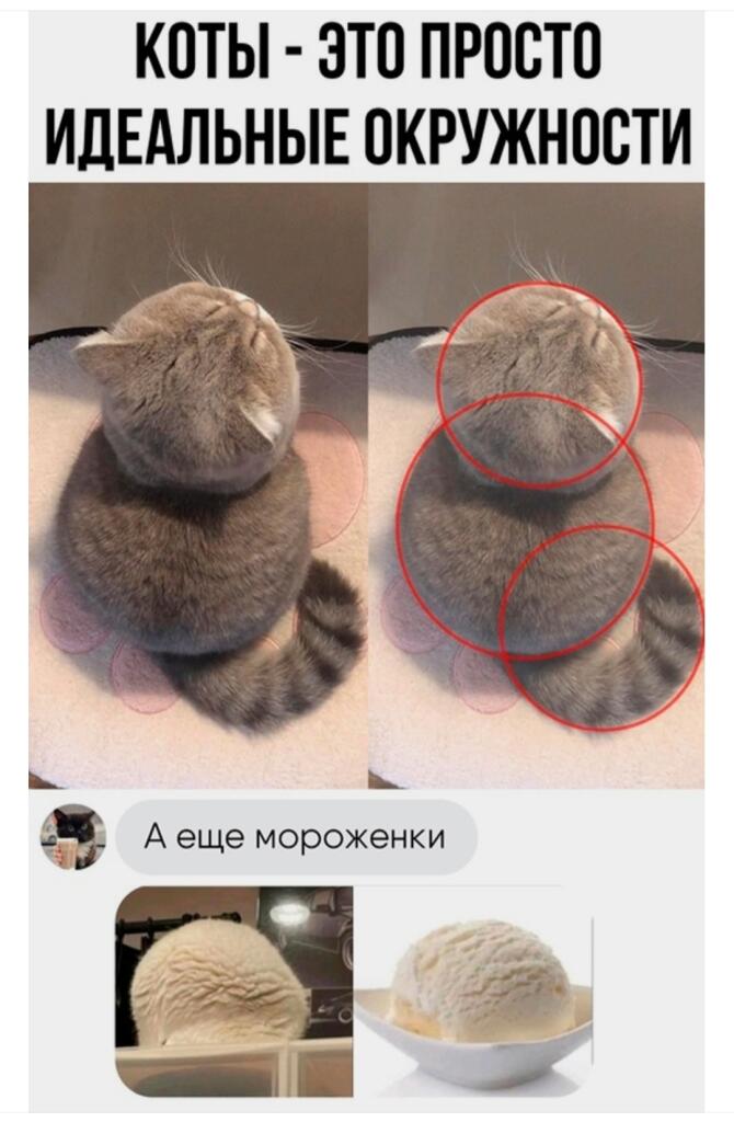 :3