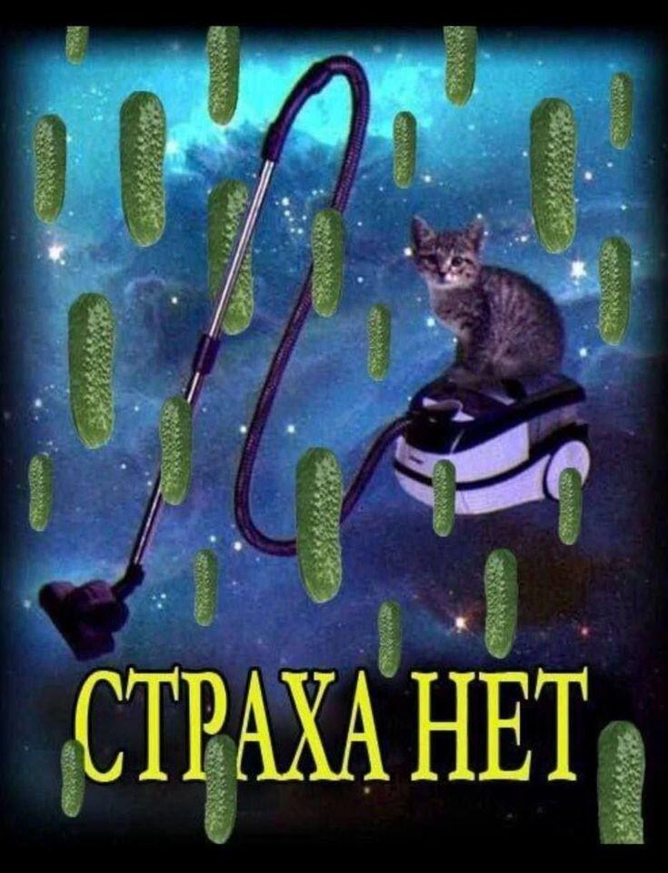 Мем от Solstice