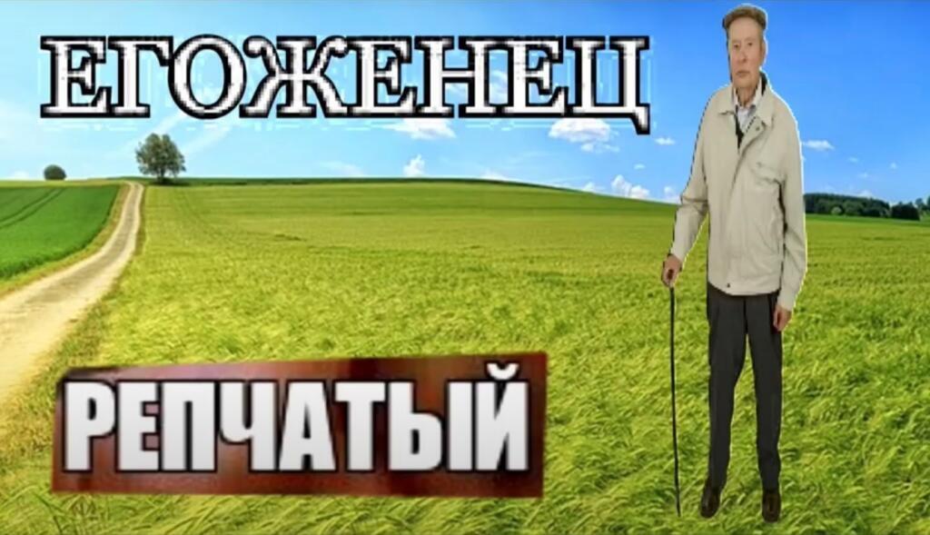 самый смешной мем за 2021 год