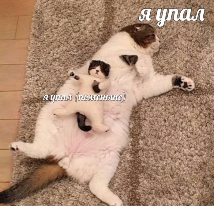 Мем от а