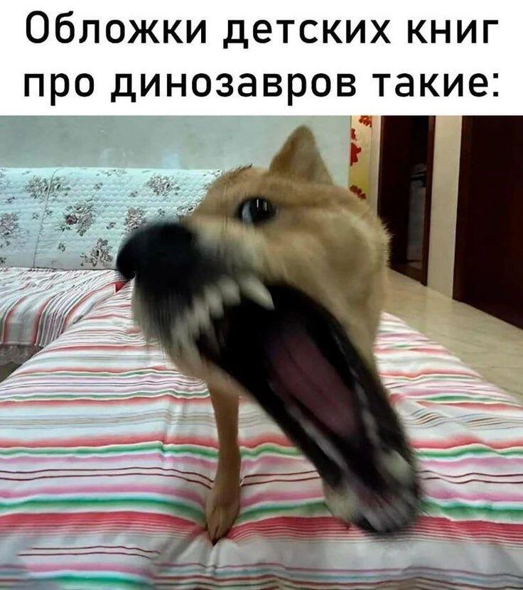 с пина