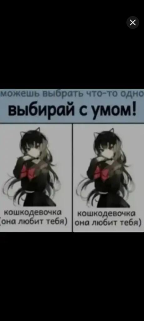 Я выбираю "с умом"