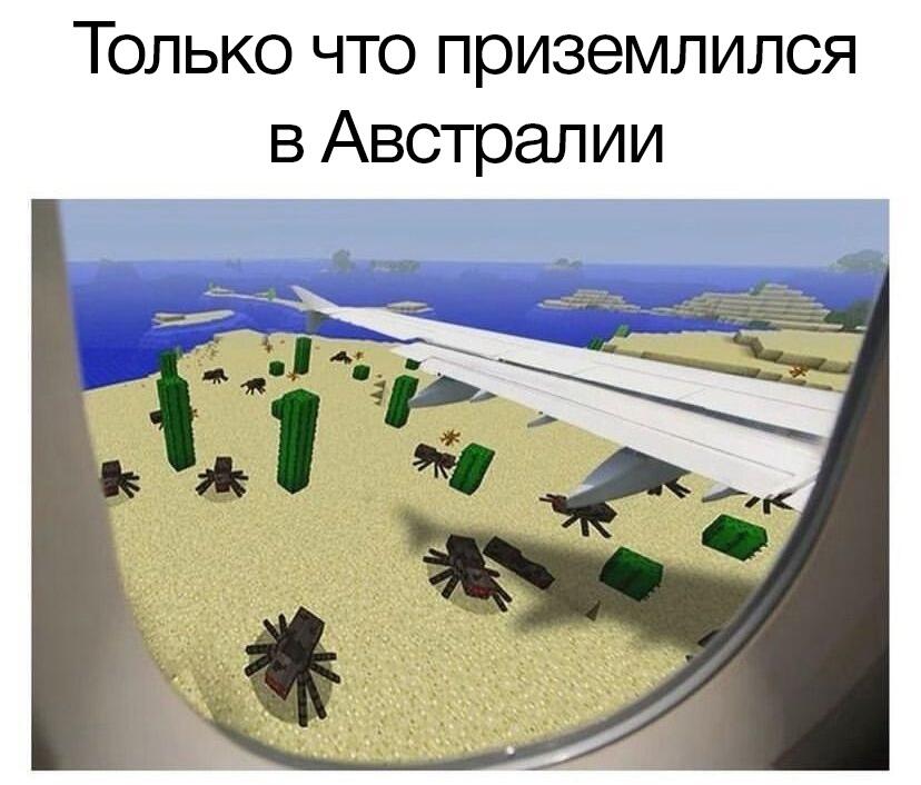 Мем от Брахмапутра