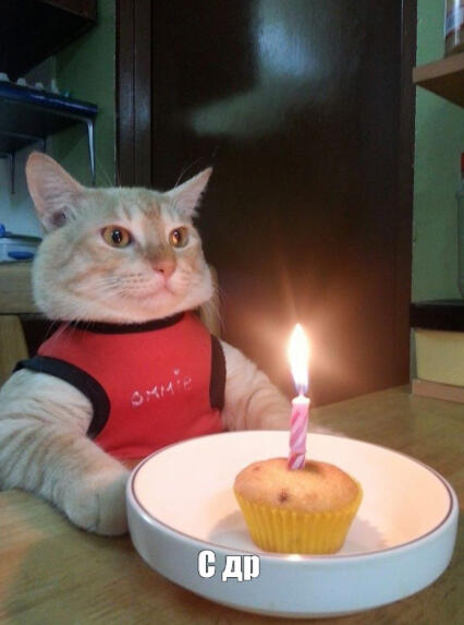с днм рждня млни 🥳
(пмгт кк глсн бкв псть)