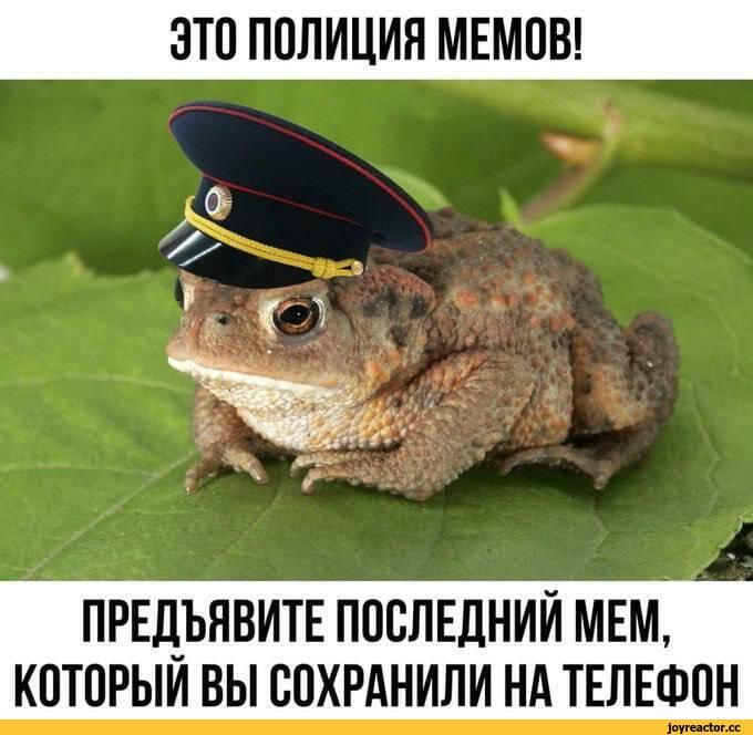 Мем без подписи