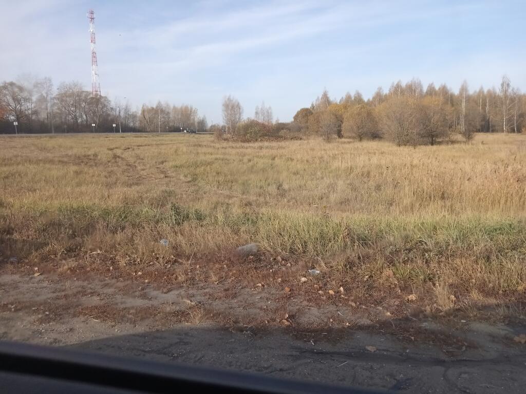 Пов если бы я был таксистом : пассажир : у меня дома кот сидит голодный я: не слова больше!