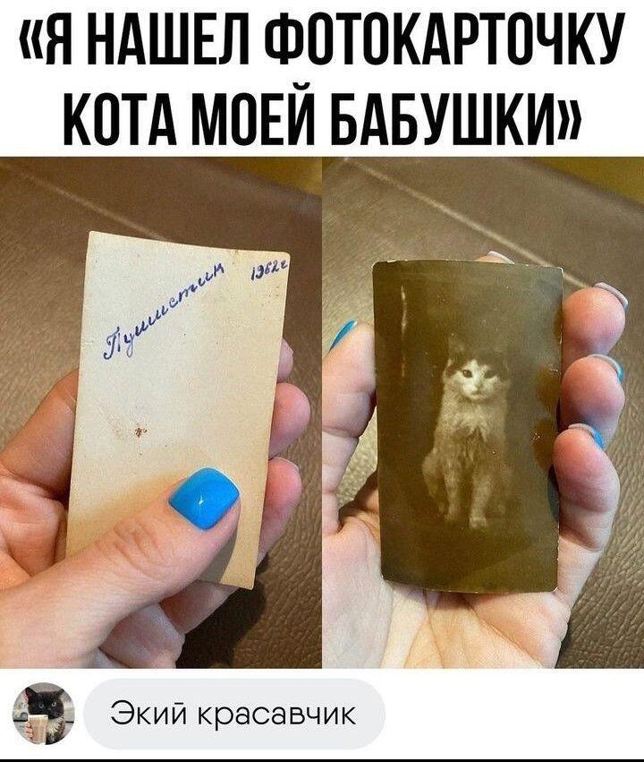 Реально грамотно потраченный материал на ыотокарточку❤️