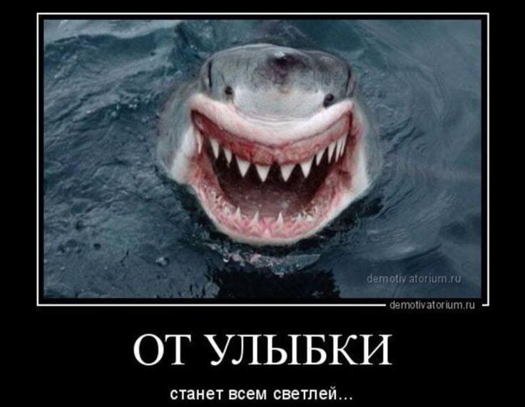 От улыбки станет всем страшней
От улыбки в почке радуга проснётся