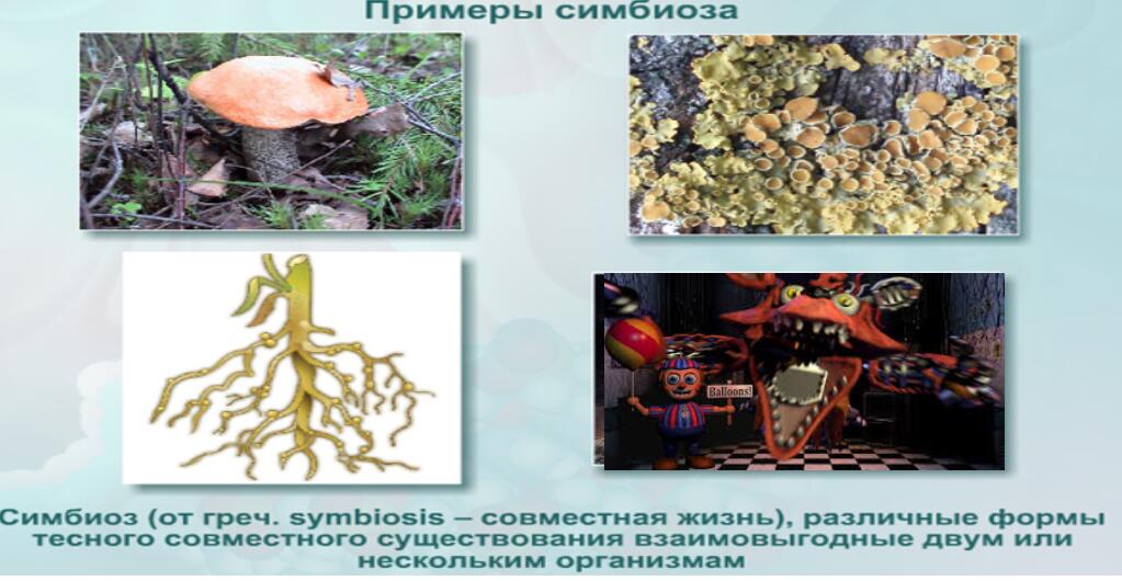 Все поняли посыл? До всех дошло?