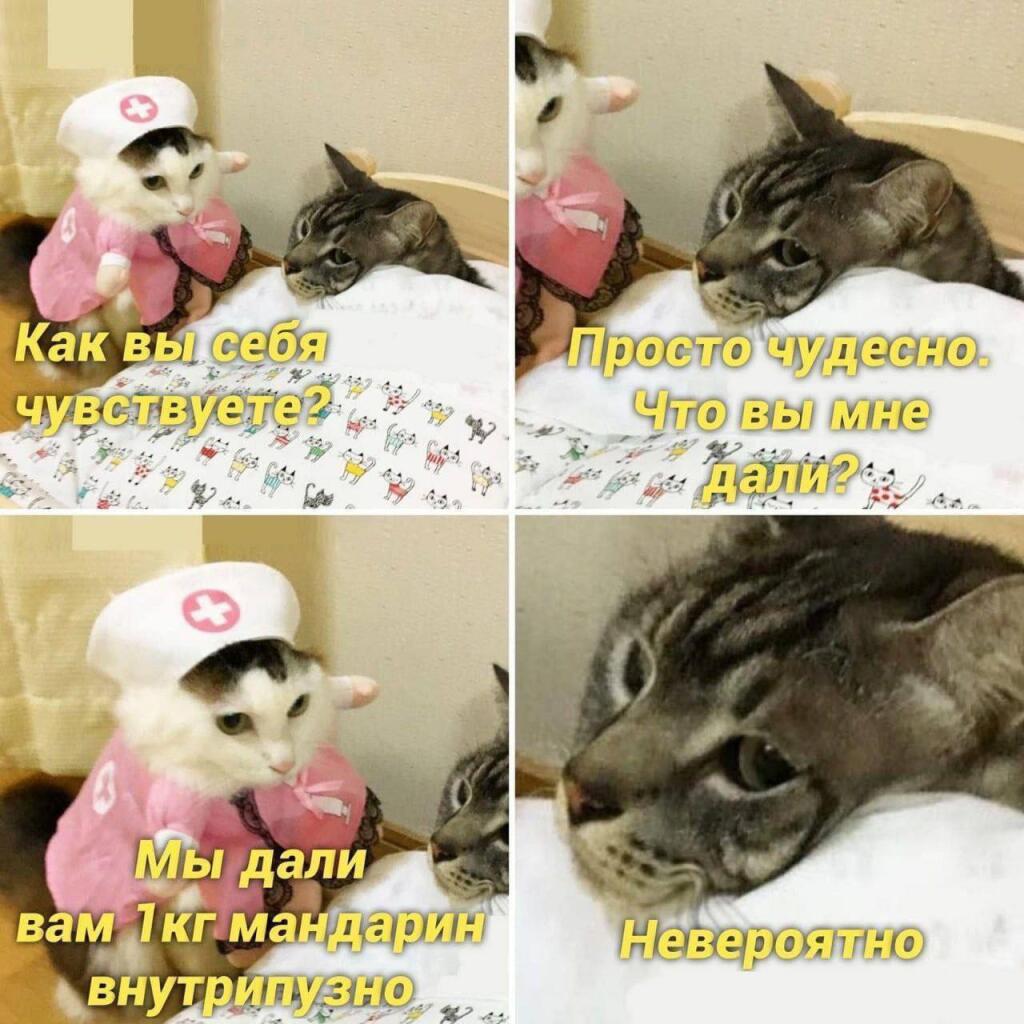 Мем от misfortune official