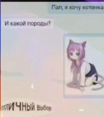 Я тоже такого котёнка хочу... но Китай Партия всё ещё мне такой не выдать... 😞