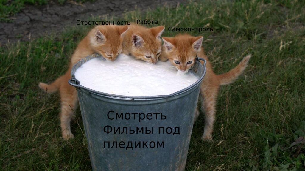 Мем от Мемнич3000
