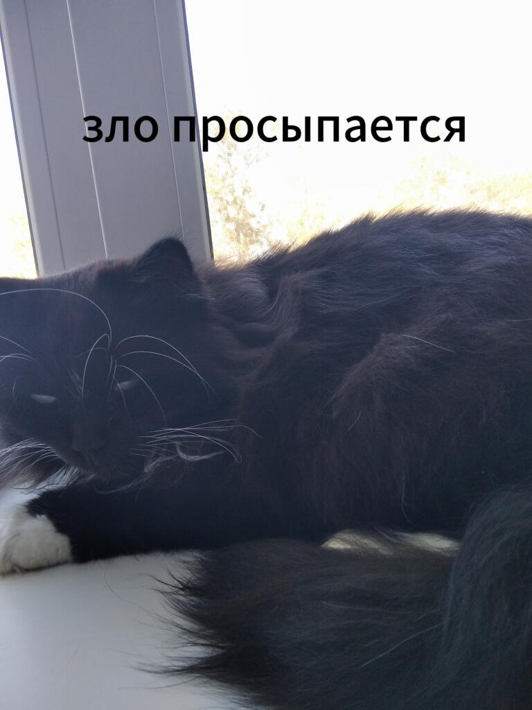 Зло просыпается