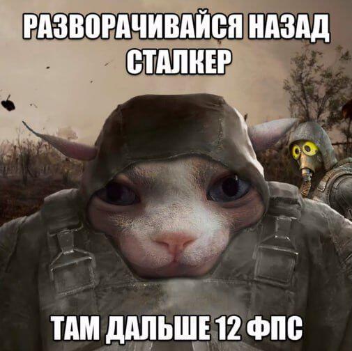 Мем от саня4оус