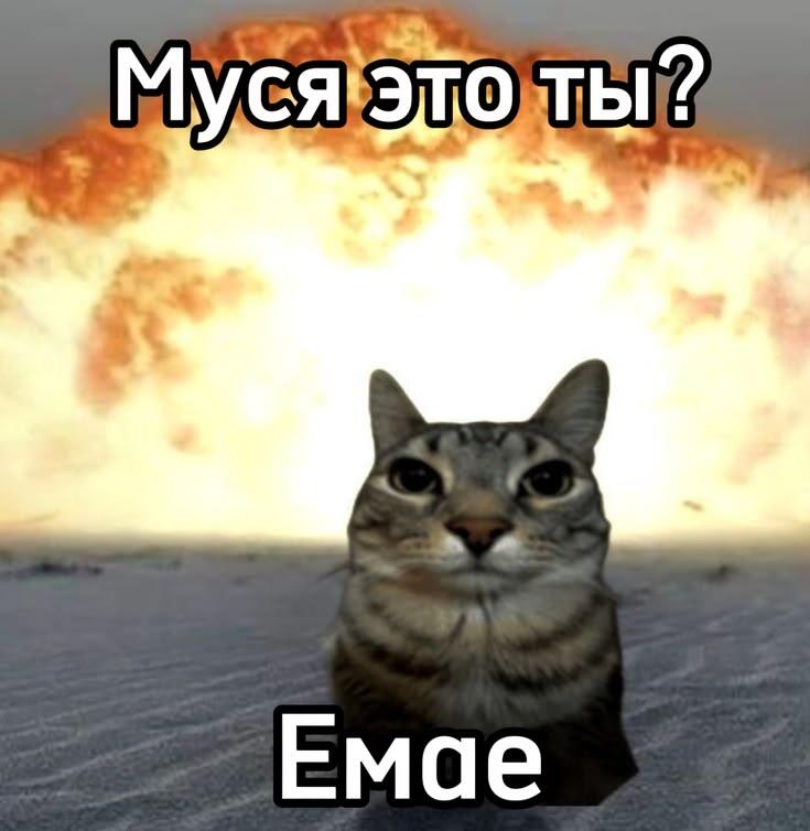 Мемы с мусей