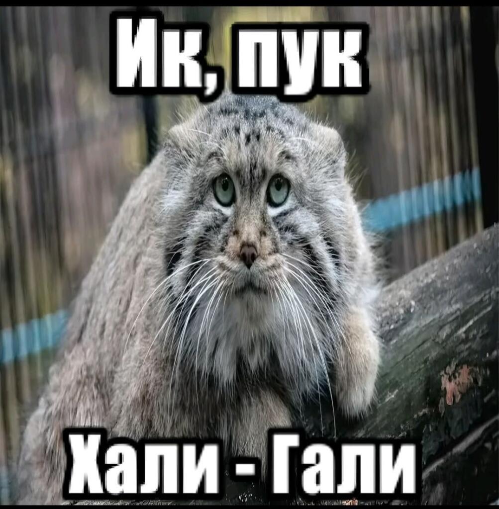 Раскалённое солнце багрянило горизонт, окрашивая пыль бескрайней прерии в цвет крови. На фоне этого эпического полотна в