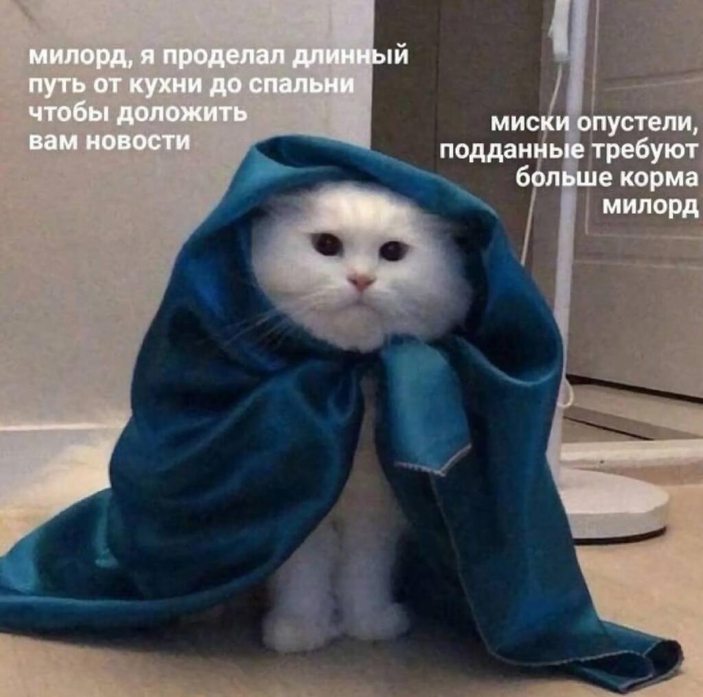 если казна будет дальше пуста то ждите нападения подданых на ваши тапки!