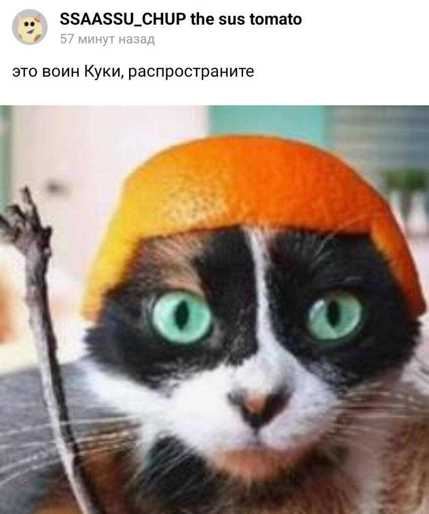 Распространяем!