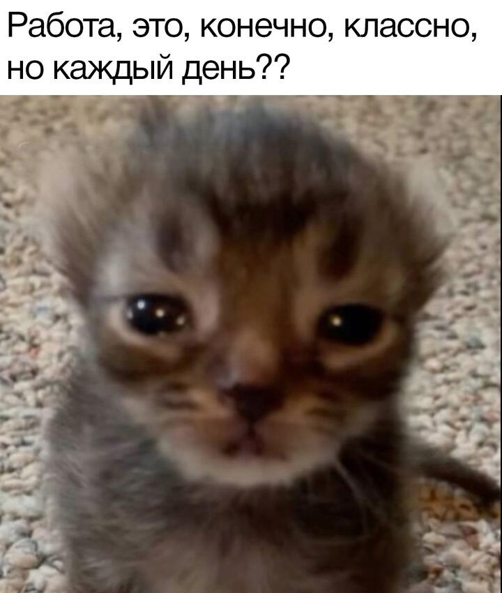 Промышленная зона не щадит даже агентов. 5-тилетку в 4 года? В полгода!