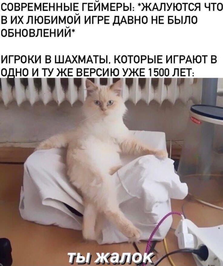 Щахматы