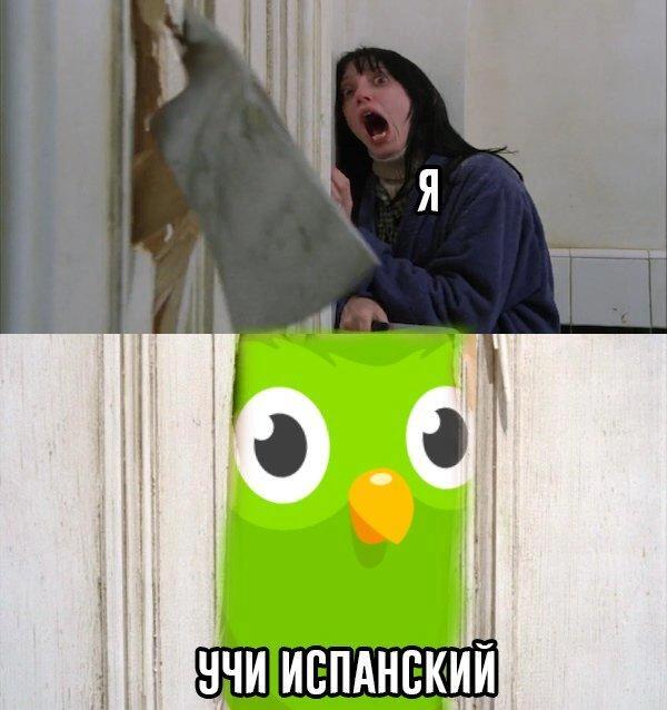 Дуолинго мэм намбер 2