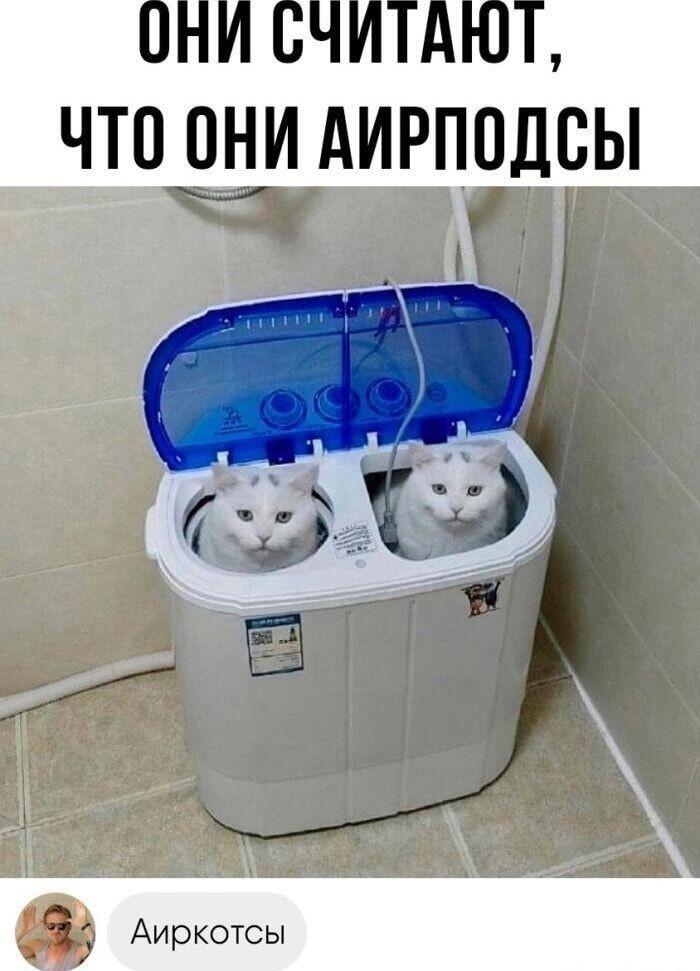 Мем без подписи