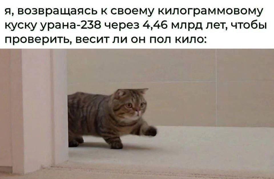 Ё маё, как же я люблю радиацию